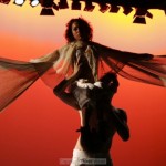 fly